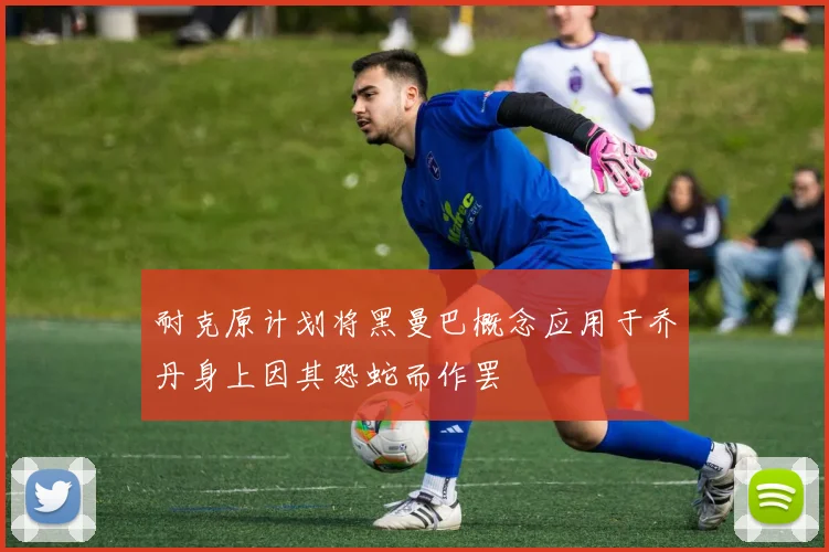 耐克原计划将黑曼巴概念应用于乔丹身上因其恐蛇而作罢
