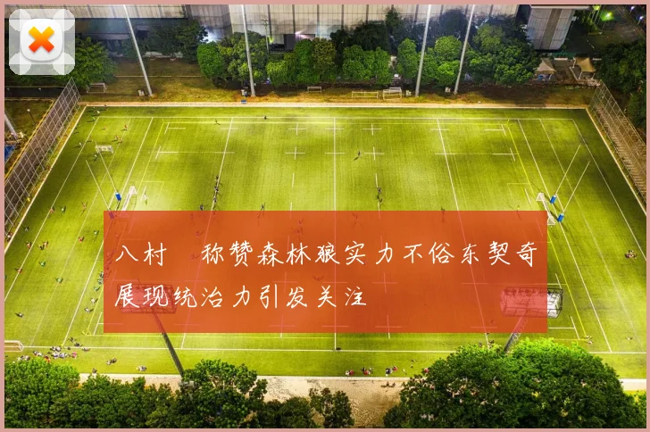 八村塁称赞森林狼实力不俗东契奇展现统治力引发关注