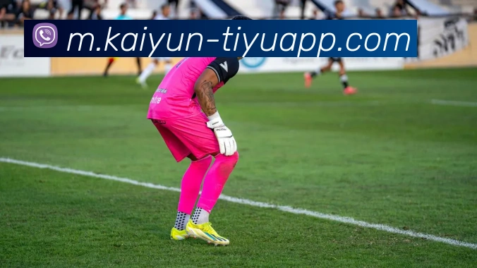 开云体育平台生态图